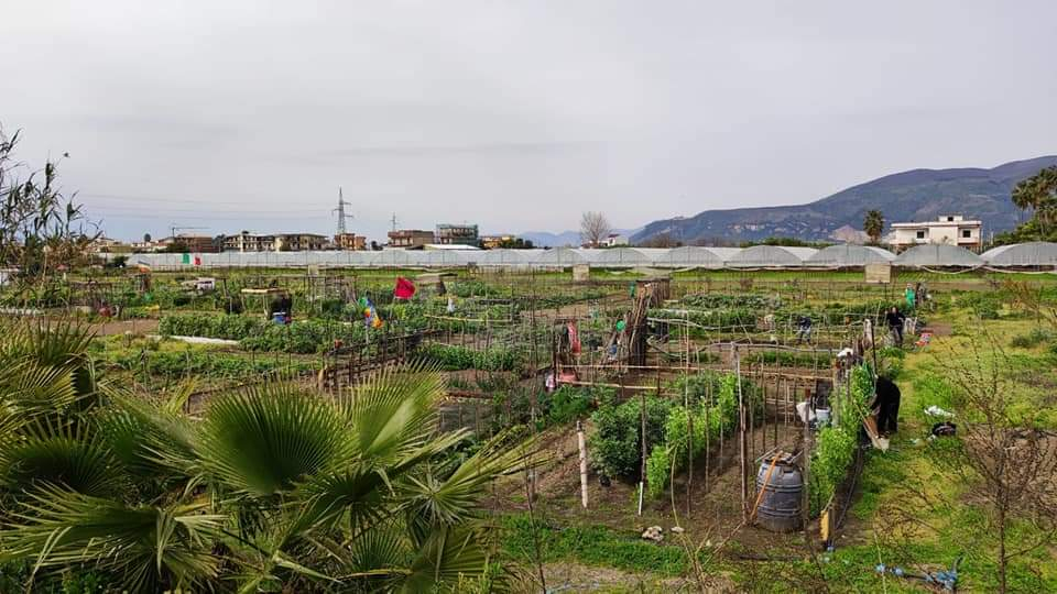 Fondo Agricolo Nicola Nappo