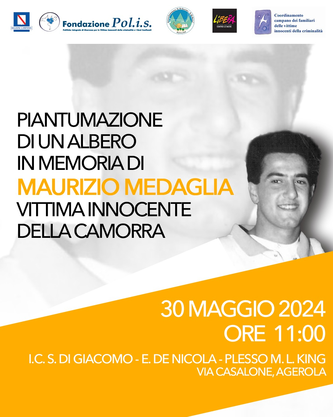 Locandina Medaglia